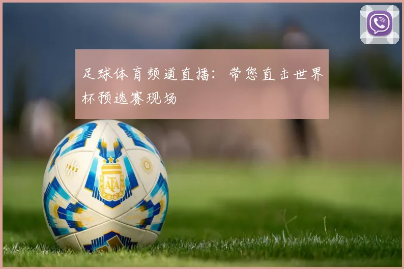 足球体育频道直播:带您直击世界杯预选赛现场