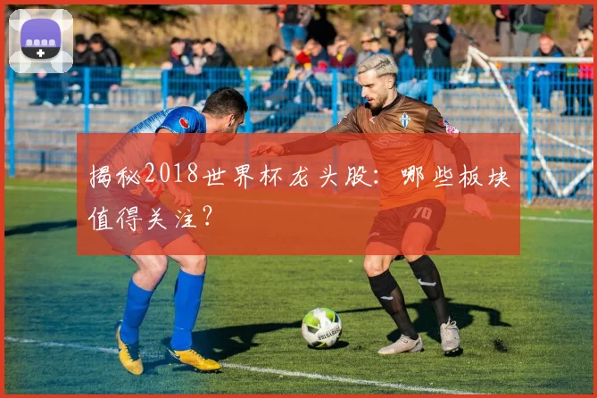 揭秘2018世界杯龙头股：哪些板块值得关注？