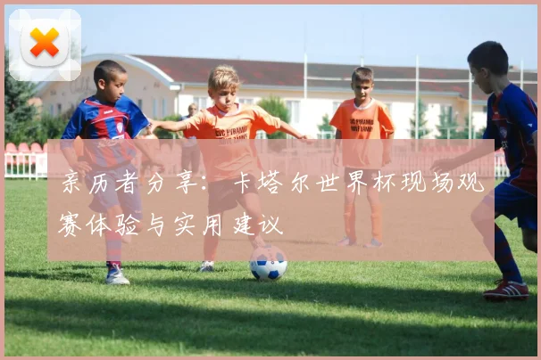 亲历者分享：卡塔尔世界杯现场观赛体验与实用建议