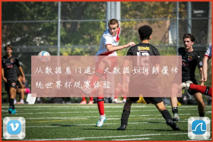 从数据看门道：大数据如何颠覆传统世界杯观赛体验