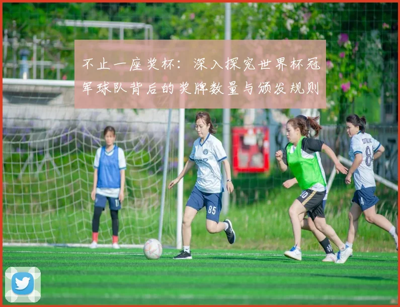不止一座奖杯：深入探究世界杯冠军球队背后的奖牌数量与颁发规则