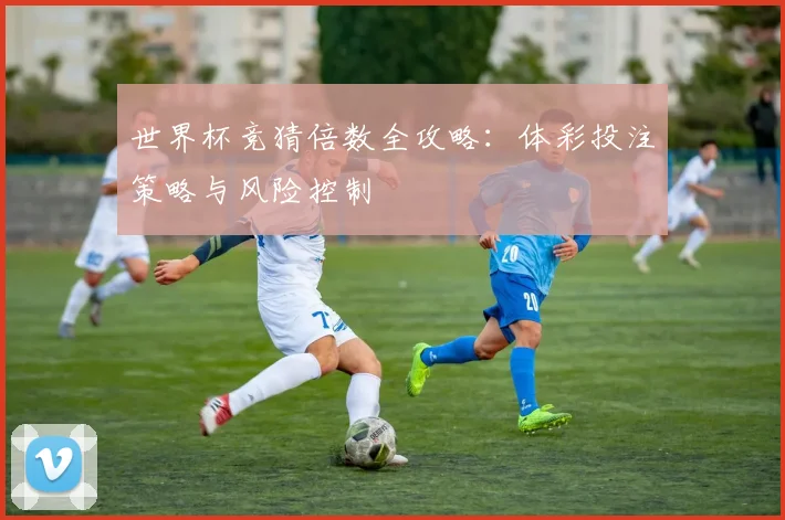世界杯竞猜倍数全攻略：体彩投注策略与风险控制