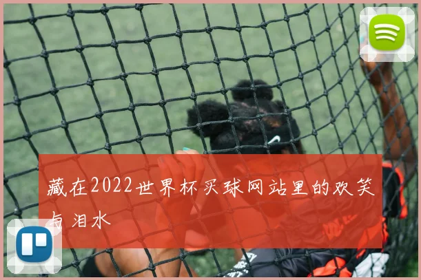 藏在2022世界杯买球网站里的欢笑与泪水